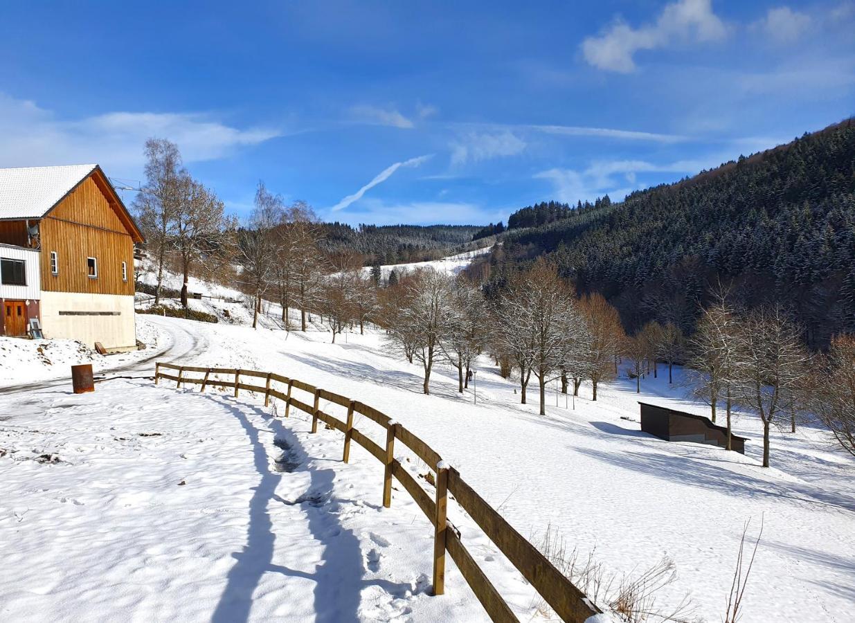 Ferienhaus Grimme - 350M2, 18 Betten - Mit Indoorspielplatz, Pool, Grosser Terrasse, Grill, Sauna, Kicker, Dart, Uvm - Ideal Fuer Familien Schmallenberg Luaran gambar