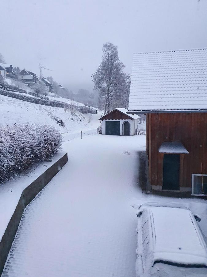 Ferienhaus Grimme - 350M2, 18 Betten - Mit Indoorspielplatz, Pool, Grosser Terrasse, Grill, Sauna, Kicker, Dart, Uvm - Ideal Fuer Familien Schmallenberg Luaran gambar