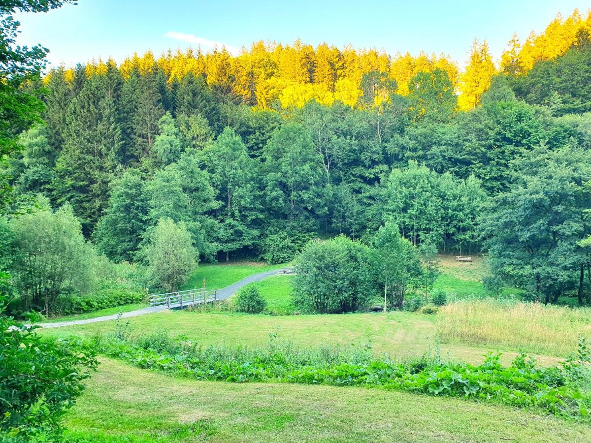 Ferienhaus Grimme - 350M2, 18 Betten - Mit Indoorspielplatz, Pool, Grosser Terrasse, Grill, Sauna, Kicker, Dart, Uvm - Ideal Fuer Familien Schmallenberg Luaran gambar