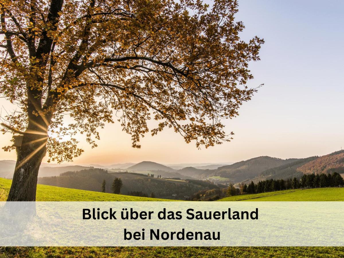 Ferienhaus Grimme - 350M2, 18 Betten - Mit Indoorspielplatz, Pool, Grosser Terrasse, Grill, Sauna, Kicker, Dart, Uvm - Ideal Fuer Familien Schmallenberg Luaran gambar