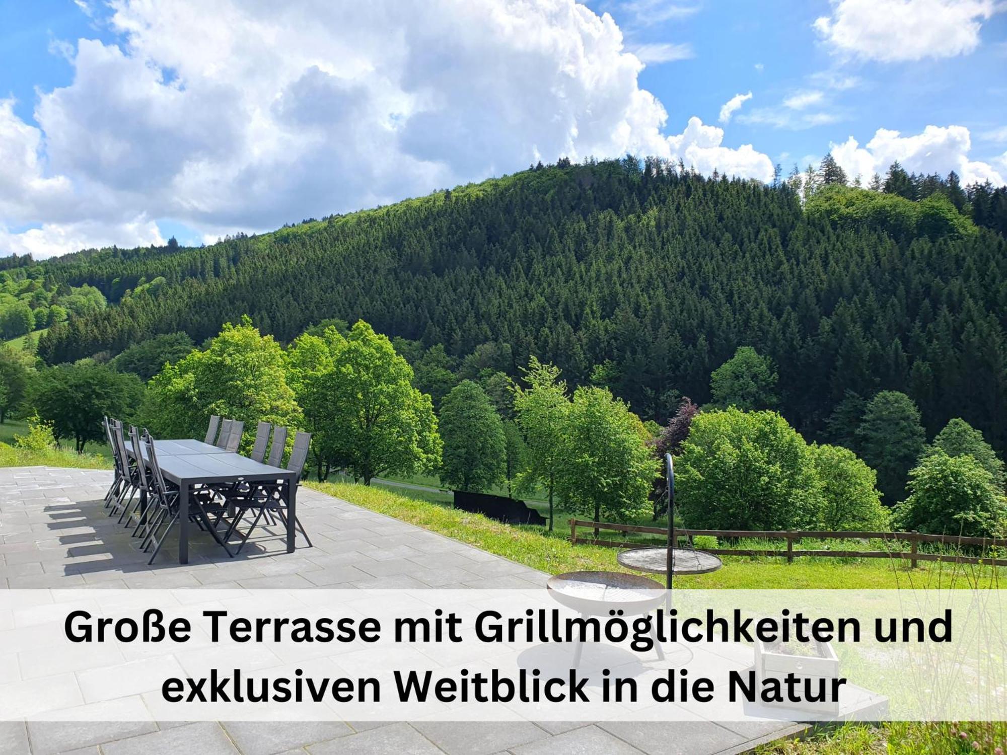 Ferienhaus Grimme - 350M2, 18 Betten - Mit Indoorspielplatz, Pool, Grosser Terrasse, Grill, Sauna, Kicker, Dart, Uvm - Ideal Fuer Familien Schmallenberg Luaran gambar