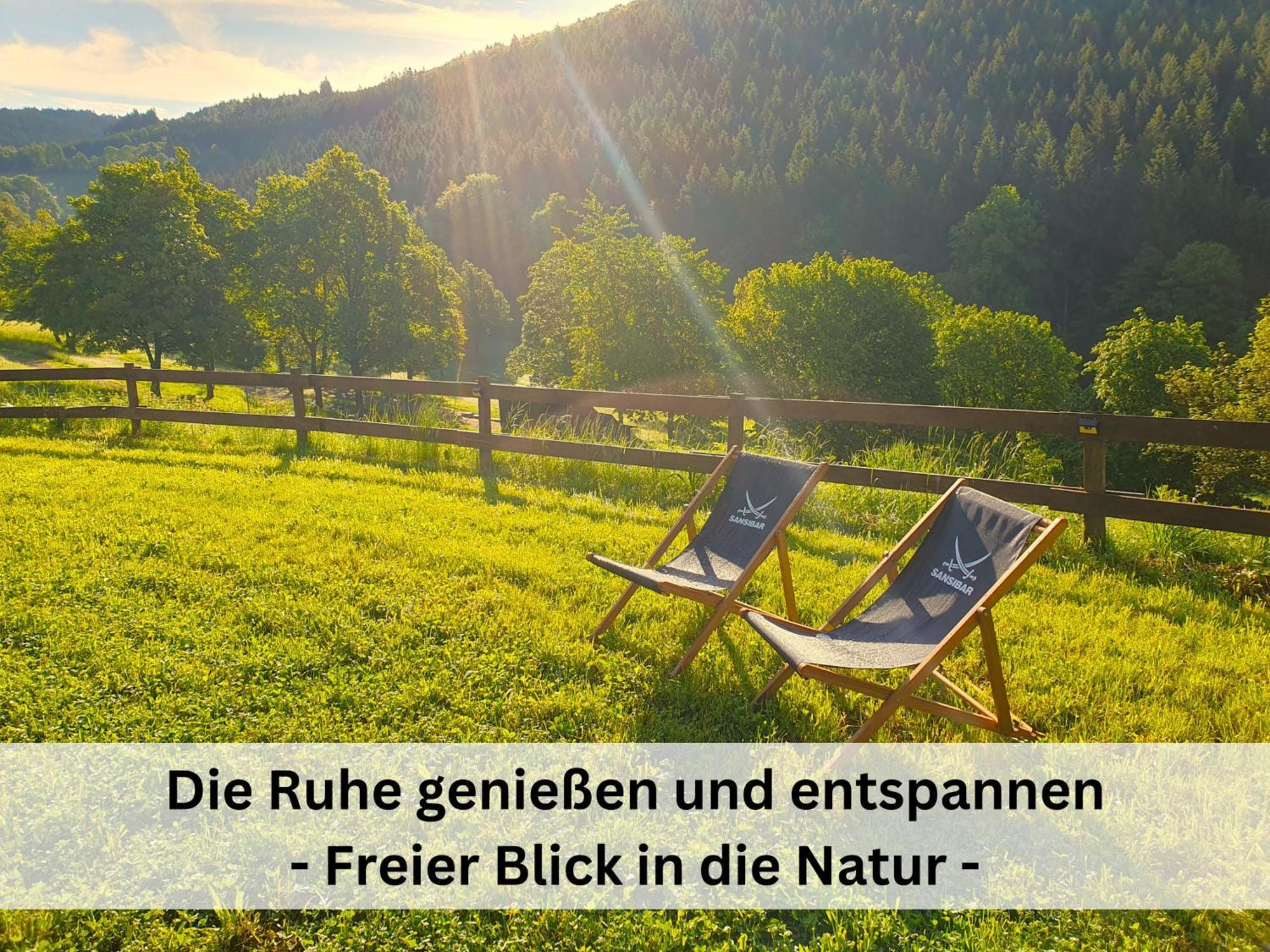 Ferienhaus Grimme - 350M2, 18 Betten - Mit Indoorspielplatz, Pool, Grosser Terrasse, Grill, Sauna, Kicker, Dart, Uvm - Ideal Fuer Familien Schmallenberg Luaran gambar