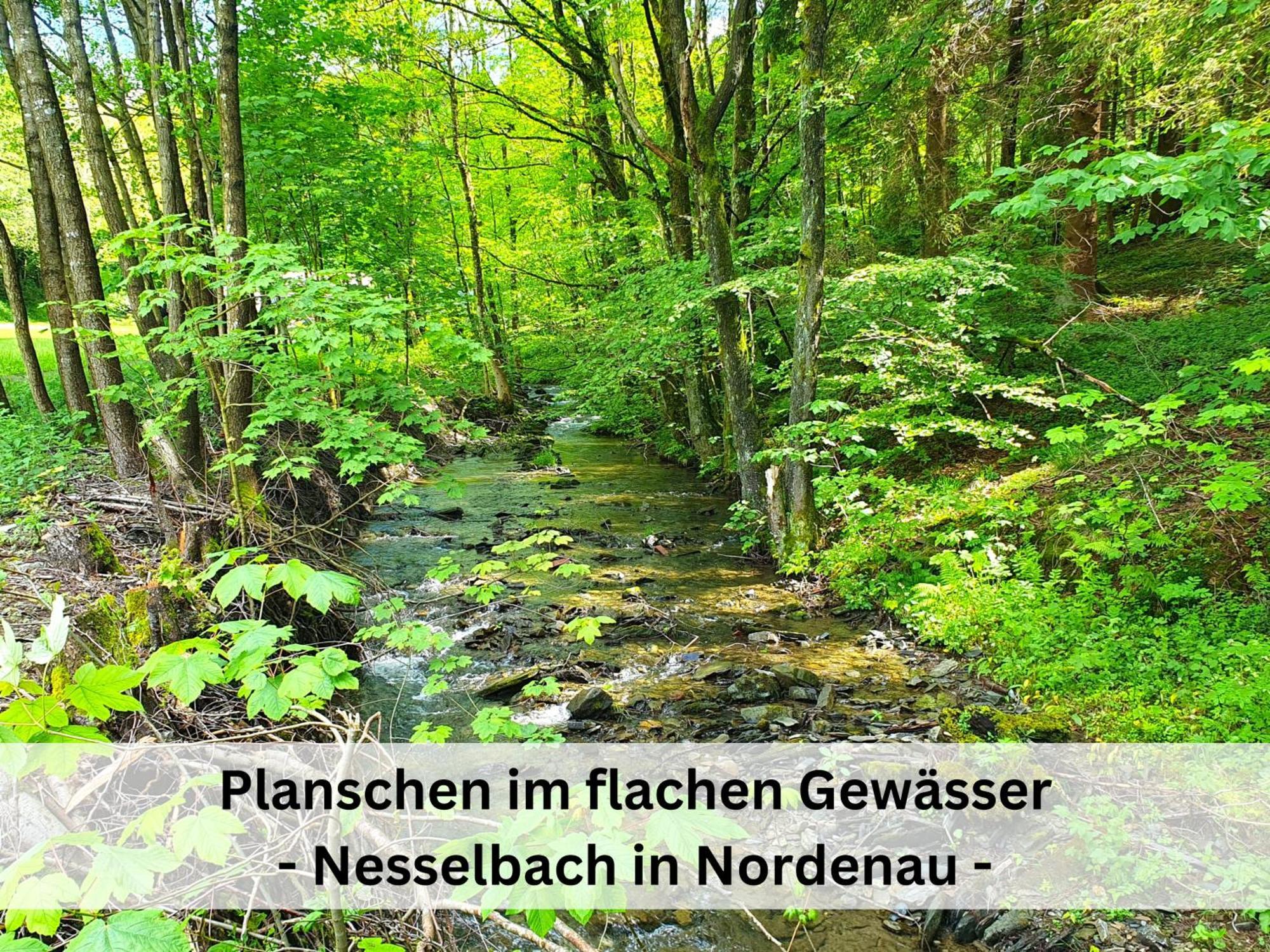 Ferienhaus Grimme - 350M2, 18 Betten - Mit Indoorspielplatz, Pool, Grosser Terrasse, Grill, Sauna, Kicker, Dart, Uvm - Ideal Fuer Familien Schmallenberg Luaran gambar